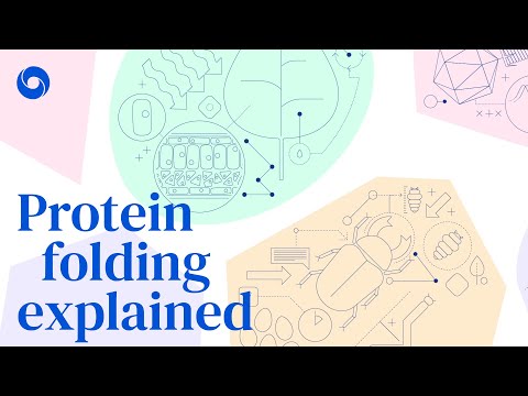 Protein folding explained