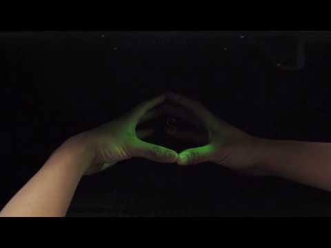 Multimodal Acoustic Trapping Display